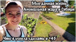 НАЧАЛАСЬ ДАЧНАЯ ЖИЗНЬ/МОЯ ДАЧА ПРЕОБРАЗИЛАСЬ/САД ОГОРОД СВОИМИ РУКАМИ