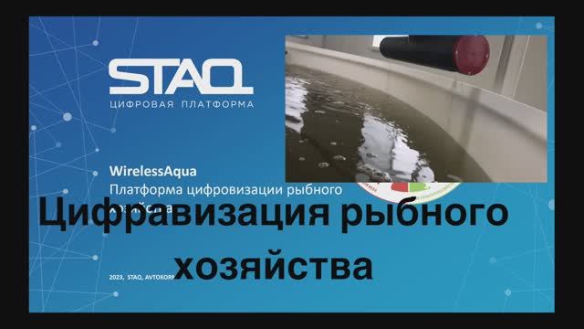 Платформа цифровизации рыбного хозяйства смотреть онлайн