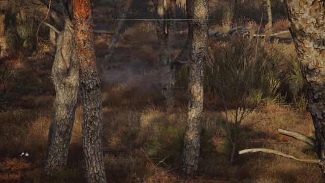 Stalker 2 порівняння згладжувань (tsr, Dlaa, Taa, Fsr, Xes...)