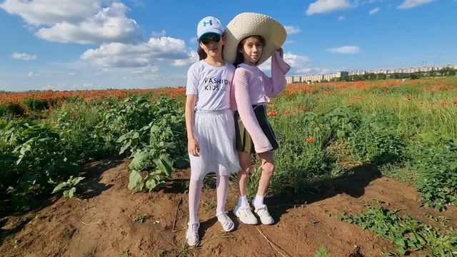 Доберман Найк и Ника на маковом поле! Встретили подругу Эмилию! смотреть онлайн