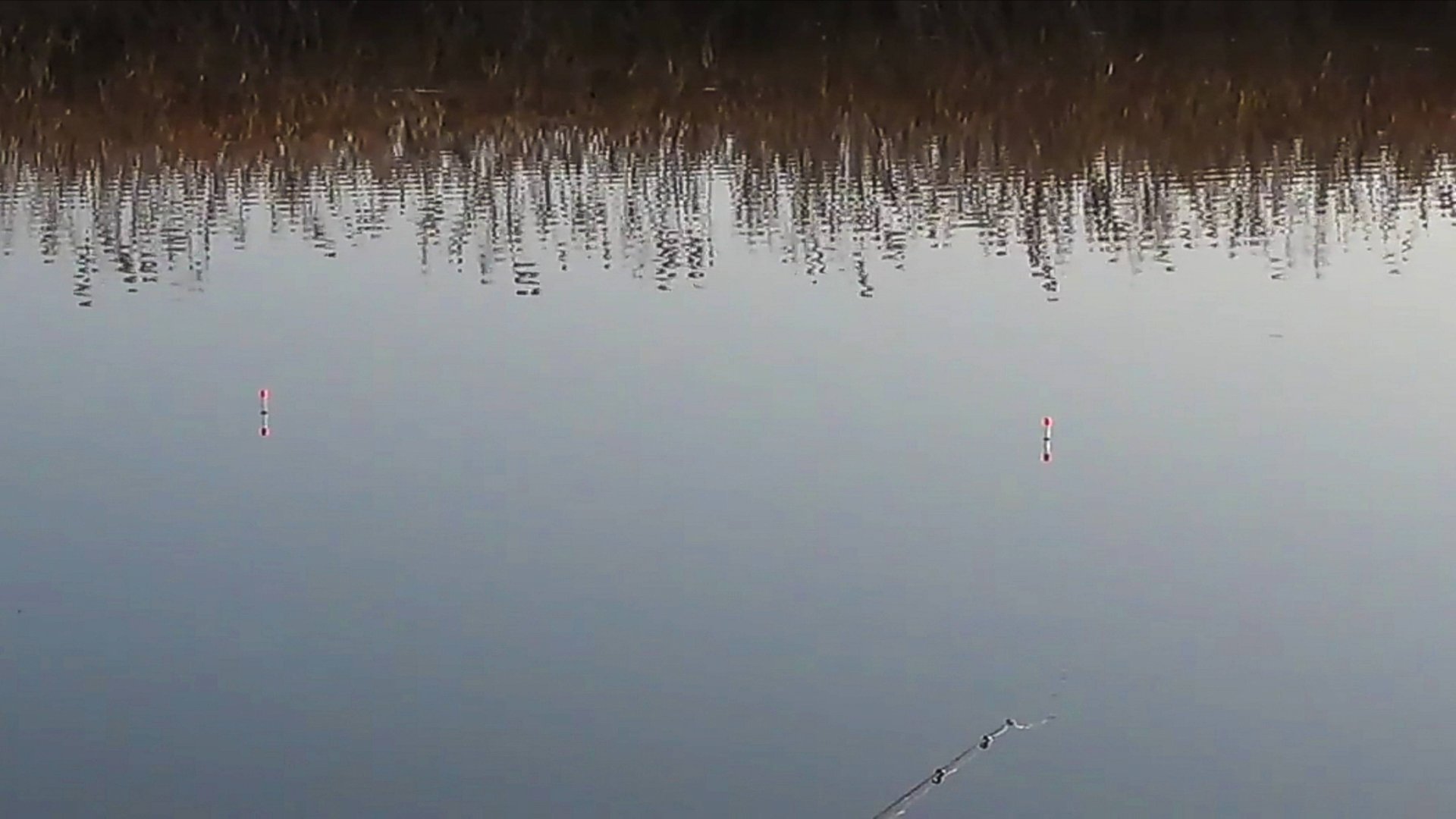 Ловля карася на поплавок. смотреть онлайн