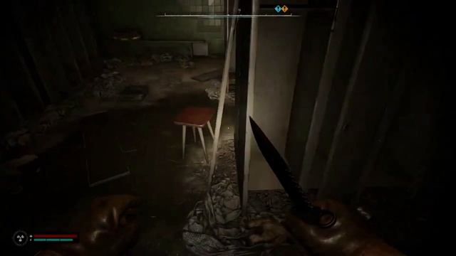 Stalker 2 - радиус агра летающей электры