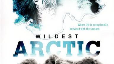 Discovery: Суровая Арктика / Wildest Arctic. 4 серия. Исландия - Земля огня и льда