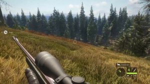Первый тест игры The Hunter на Ультра-настройках