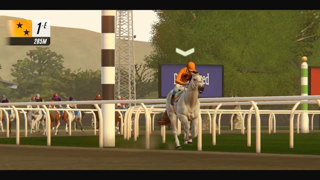 Очень много скачек в Rival Stars Horse Racing!