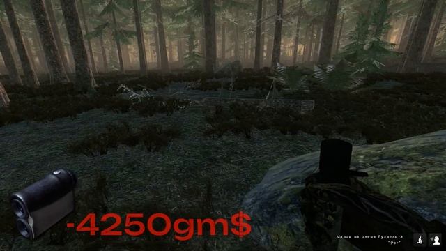 Правильный старт для новичка в The Hunter Classic