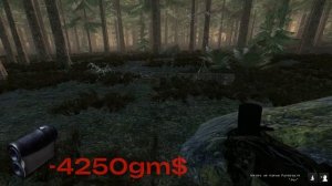 Правильный старт для новичка в The Hunter Classic