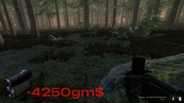 Правильный старт для новичка в The Hunter Classic