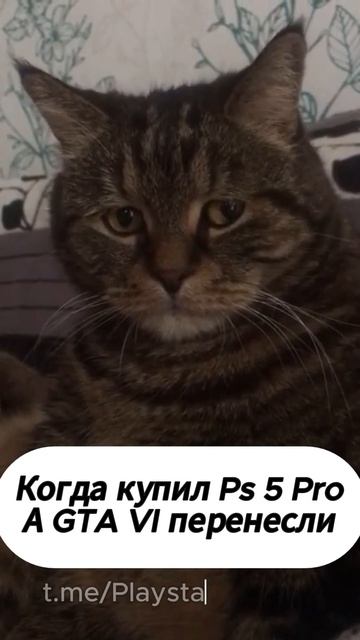 ссылка на тг в шапке канала #gta #smartphone #gtav #steam #гта #gtaonline смотреть онлайн