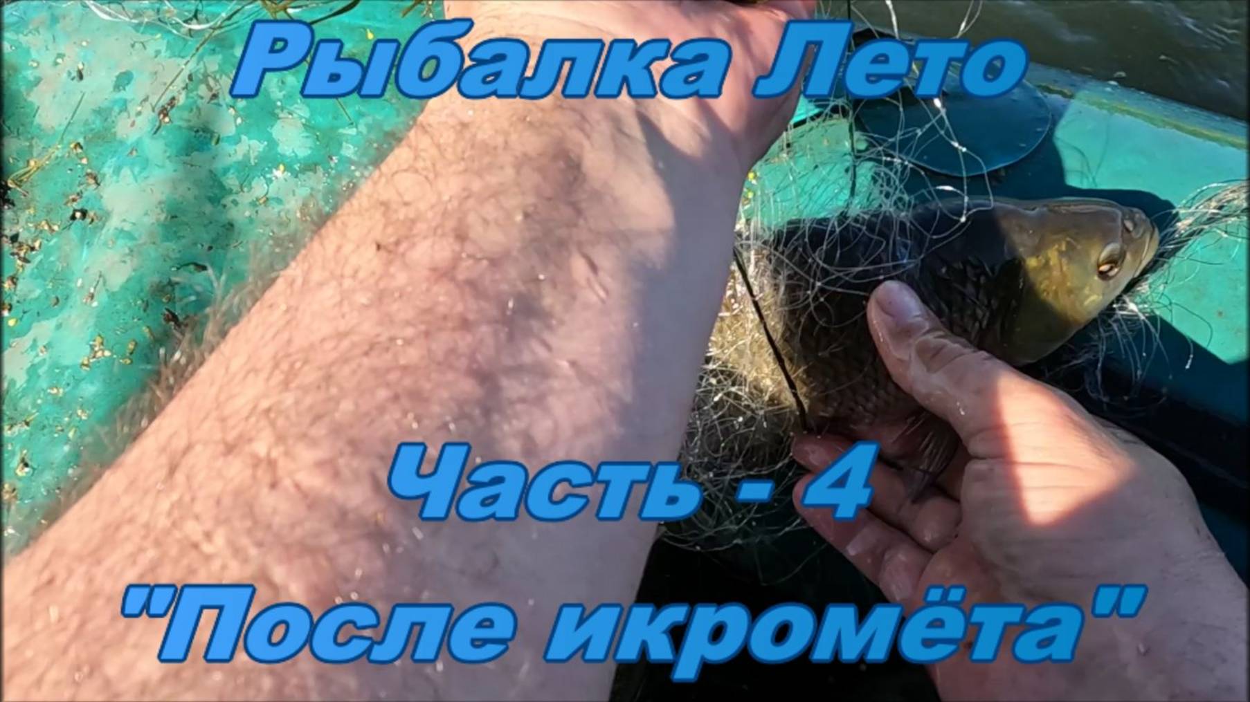 Рыбалка. Лето. Часть - 4. "После икромёта". смотреть онлайн