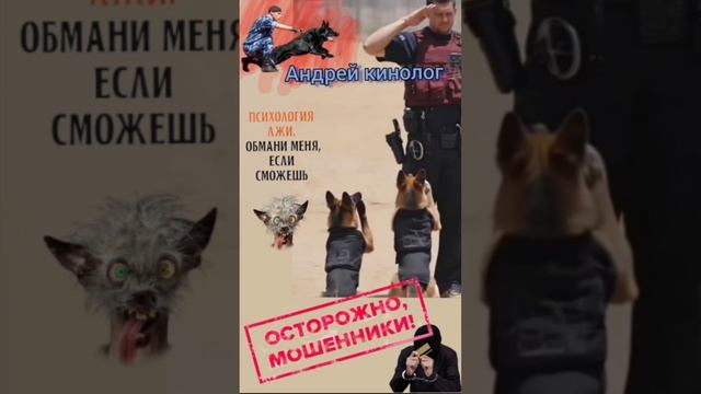 Жёсткие ответы на тупость ! смотреть онлайн