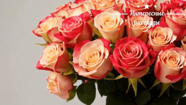 😂 Очень хотелось шлёпнуть мужа тапочкой, когда мы нач