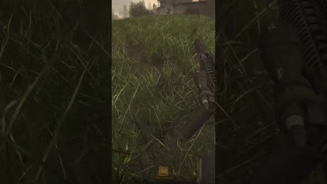 Кукрыниксы — не беда + S.T.A.L.K.E.R.