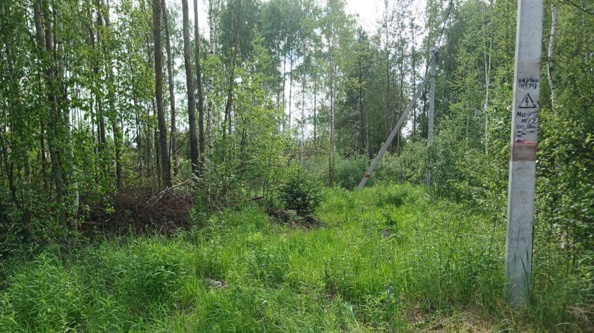 550. Участок 12 сот. ИЖС Юго-Западный р-он, г. Электрогорск #купить #участок #купитьучасток смотреть онлайн