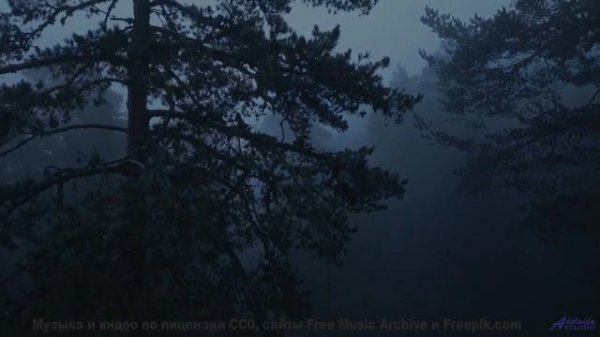 Поля под такой музыкой становятся бесконечными - comes on time -- Tinmouth -- Surprise time