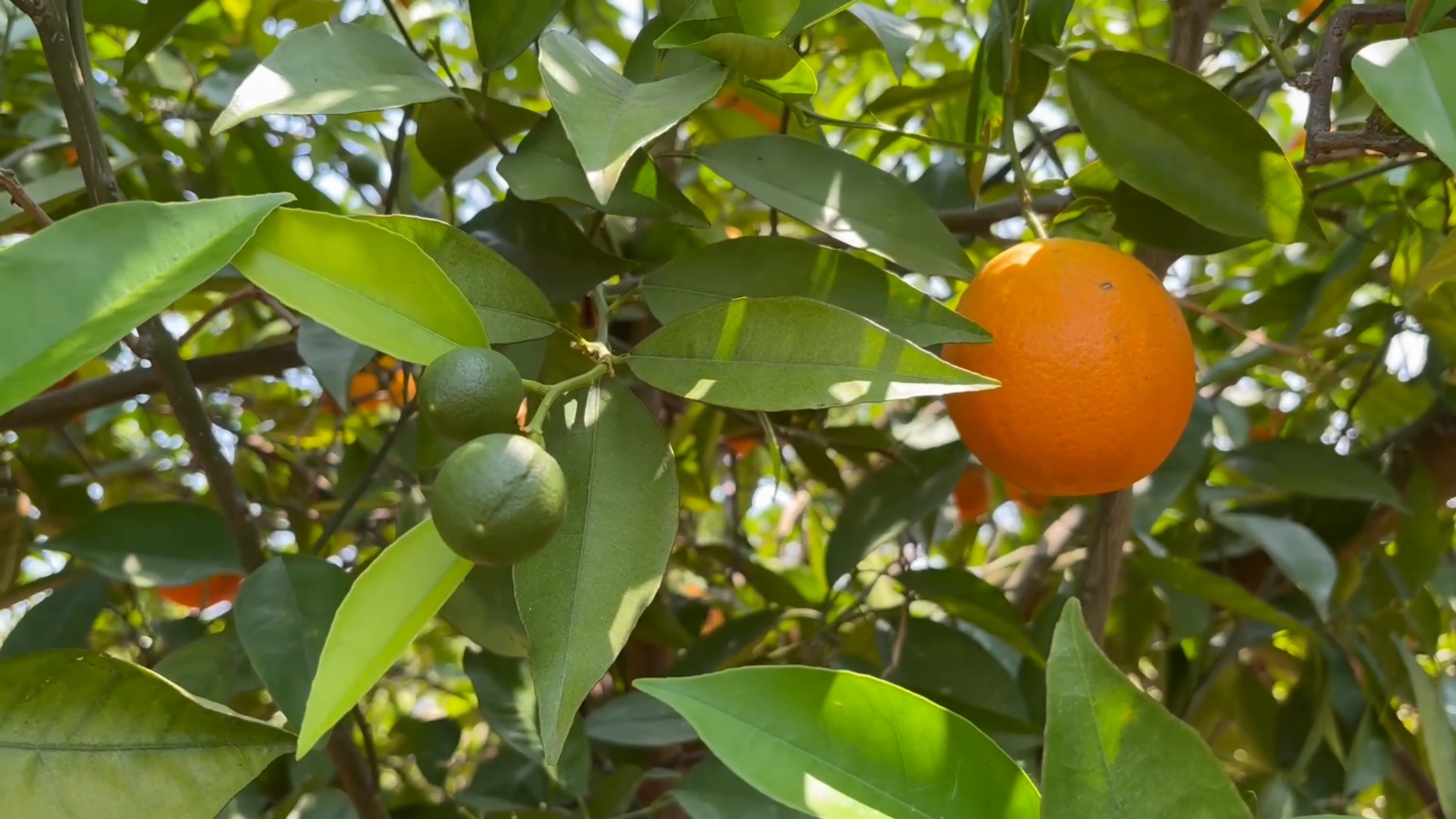 Смена поколений ... смотреть онлайн