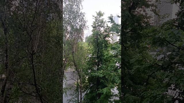 снова летний дождь