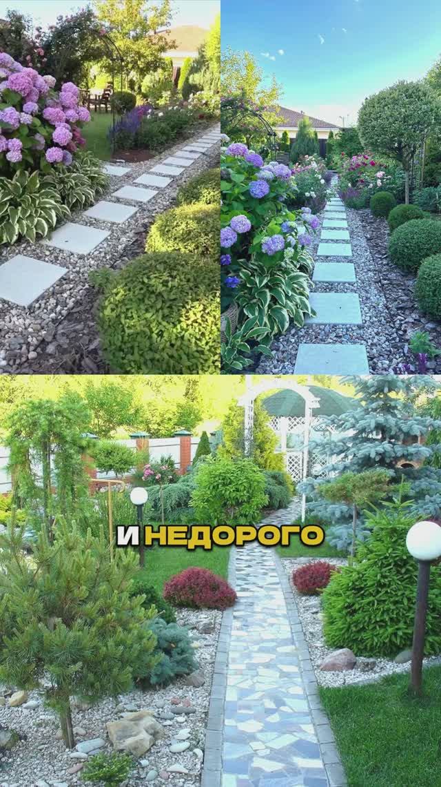 Посади Это Вдоль Дорожки ( и вот почему!)🎯🌿 смотреть онлайн
