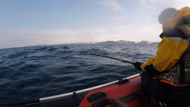 GOPR2876 смотреть онлайн