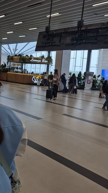 Аэропорт Толмачево. Город Новосибирск смотреть онлайн