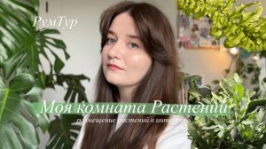 Растения в интерьере | обзор моей зелёной комнаты