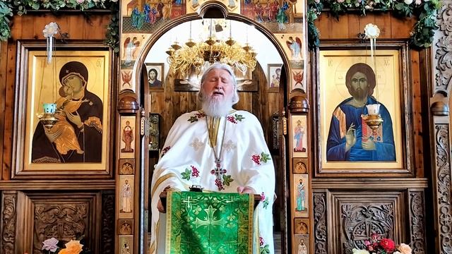 проповедь на День Святой Троицы (нед 8 по Пасхе) смотреть онлайн