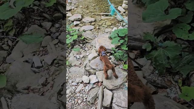 Геленджик, Восхождение к самому высокому водопаду на ? смотреть онлайн