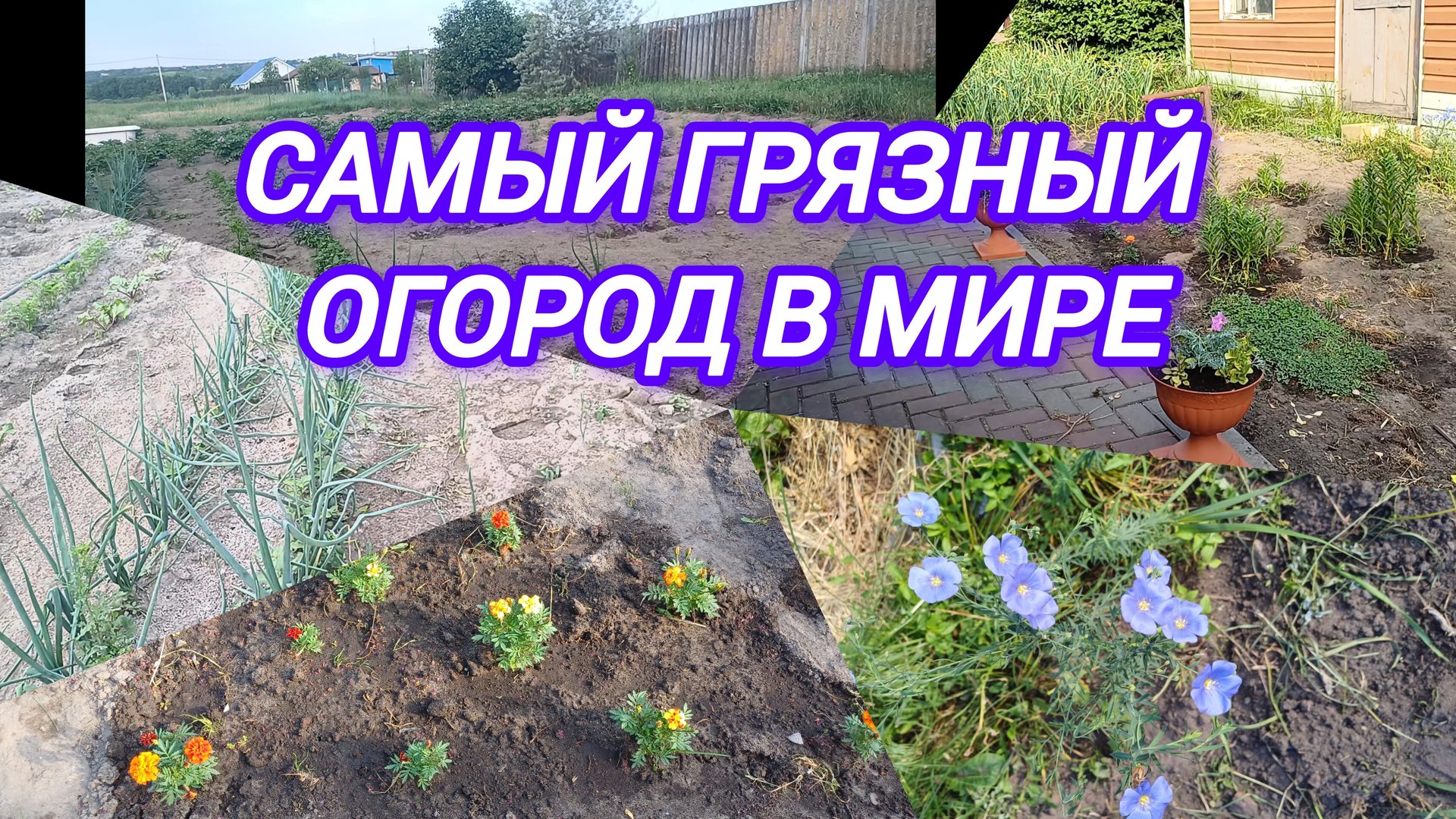 САМЫЙ ГРЯЗНЫЙ ОГОРОД В МИРЕ смотреть онлайн