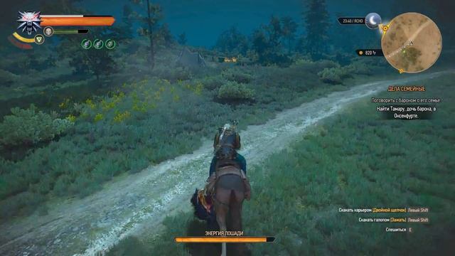 Witcher3 Спрятаны от всего мира