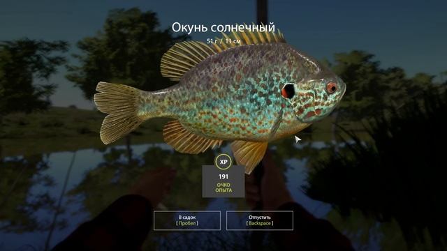 р Северский донец#рр4 #северскийдонец #фарм смотреть онлайн