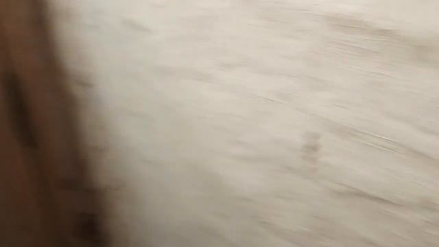 Паломническая поездка в САВВИНО - СТОРОЖЕВСКИЙ МОНАСТ