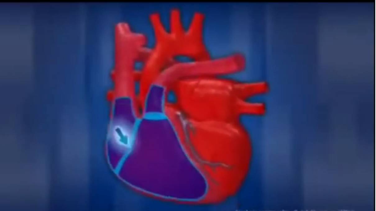 Полное ПЕНИЕ йогов. 3 молитвы. Очищение кровеносных сосудов. Исцеление! смотреть онлайн