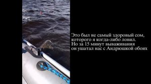 Как мы вытащили сома-монстра (31 кг) после урагана? Реальная рыбалка на сома 2023