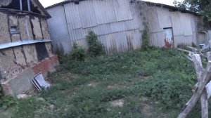 Начало июня, огороды, поездка в парк техника стран НАТО