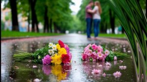 цветы. когда мы были вместе. песня о любви Дворовая песня под гитару в современной обработке ремикс