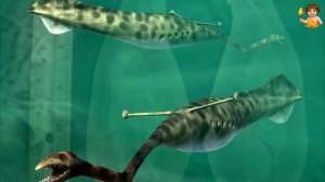 🎬 Необычные животные: Туллимонстр. Загадка из прошлых эпох.