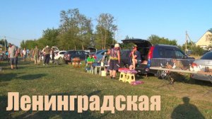 Птичий рынок. Ленинградская. [08.06.2025]