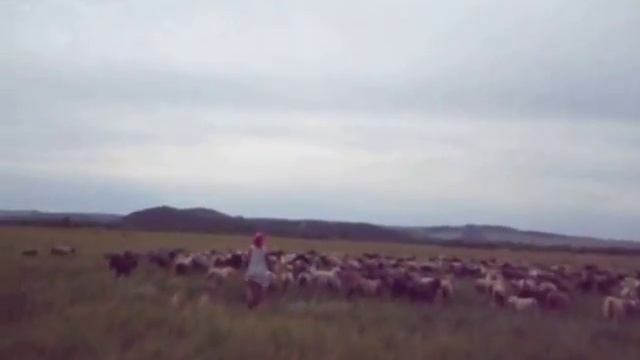 Сибирское село. Личное подсобное хозяйство.