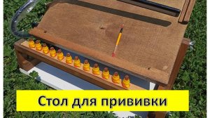 Обзор стола для прививки личинок.