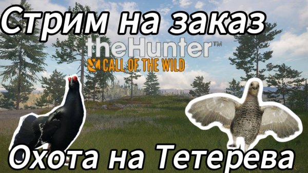 Охота на тетерева в Revontuli. The Hunter Call of the Wild