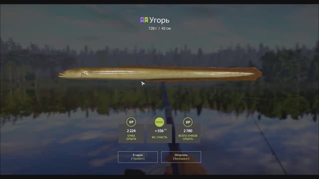 Угорь, Старый Острог, игра Русская Рыбалка 4 смотреть онлайн