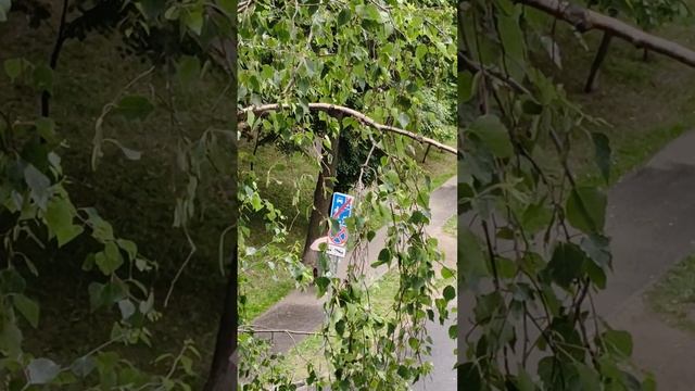 Гроза начинается 08.06.2025 год. смотреть онлайн