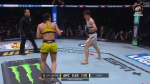 Ванг Конг победила Ариани Да Силву (видео). UFC 316