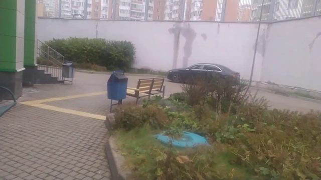 обзор школы 2048 смотреть онлайн