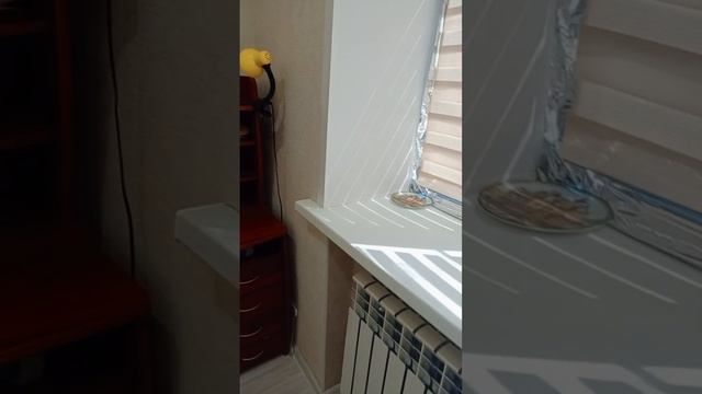 1002258745.mp4 смотреть онлайн