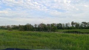 08-06-2025  Жизнь в деревне 🏡 несколько дней назад.