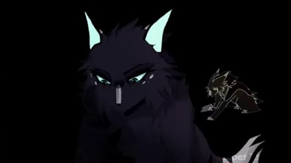 Everybody's Fool // Completed Hollyleaf All MAP// Warrior Cats