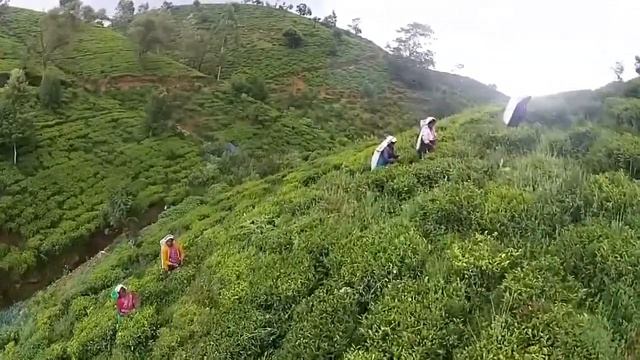 Карта Шриланка