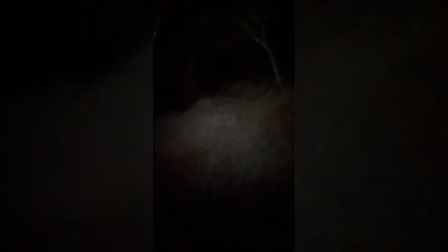 Рассвет на г.Афон 🏔️ 2033 M ➕16 дней паломничества