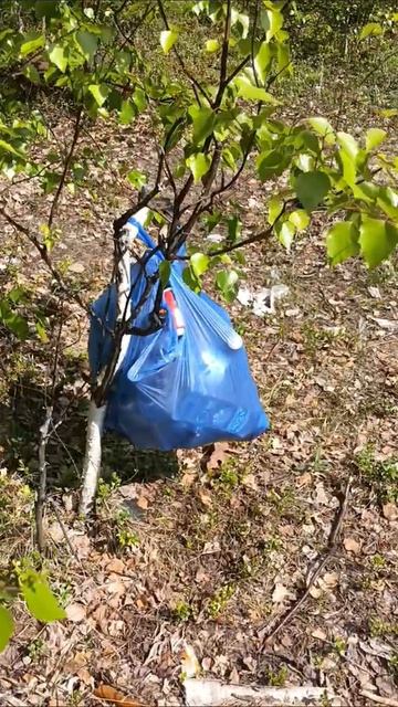 ужас что мы нашли в лесу